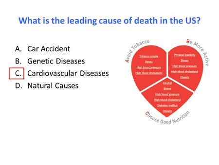 What is the leading cause of death in the US? A.Car Accident B.Genetic Diseases C.Cardiovascular Diseases D.Natural Causes.