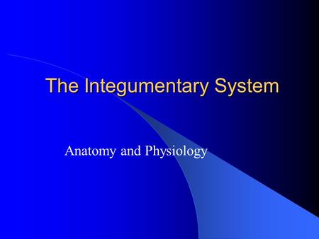 The Integumentary System