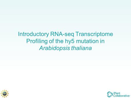 Before we start: Align sequence reads to the reference genome