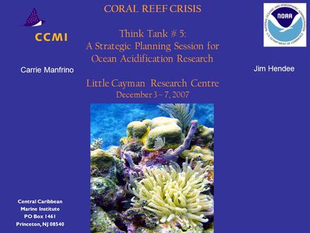 CORAL REEF CRISIS Think Tank # 5: A Strategic Planning Session for Ocean Acidification Research Little Cayman Research Centre December 3 – 7, 2007 Central.