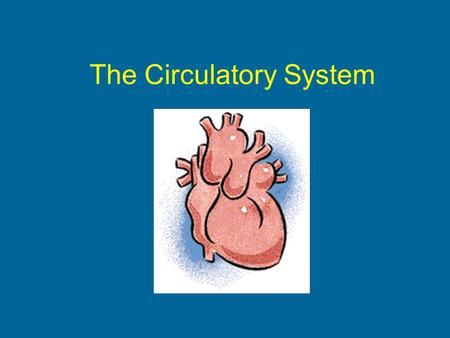 The Circulatory System