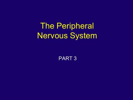 The Peripheral Nervous System