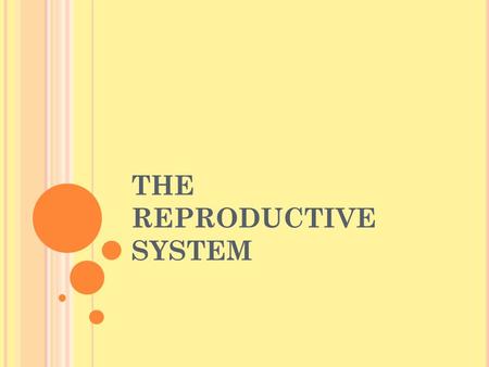 THE REPRODUCTIVE SYSTEM