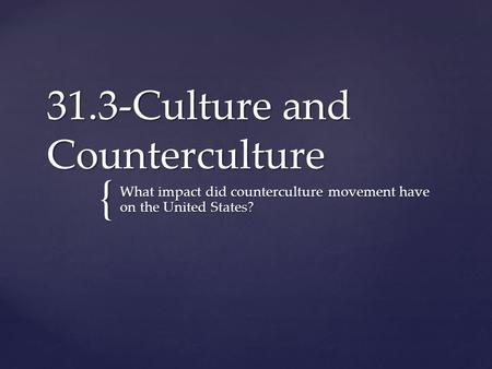 31.3-Culture and Counterculture