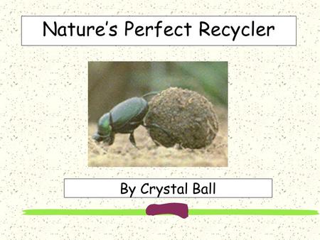 Nature’s Perfect Recycler By Crystal Ball The Scarab Beetle Is Also Known As the Dung Beetle These scarabs-- also known as dung beetles-- are important.