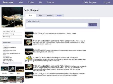 Facebook Pallid Sturgeon WallPhotosMeSourcesPallid SturgeonLogout View photos of Pallid (5) Send Pallid a message Poke message Wall InfoPhotosBoxes Write.