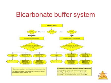 Aqueous Equilibria Bicarbonate buffer system. Aqueous Equilibria Buffers: What are they????? Solutions of a weak acid and its conjugate Or a weak base/conjugate.