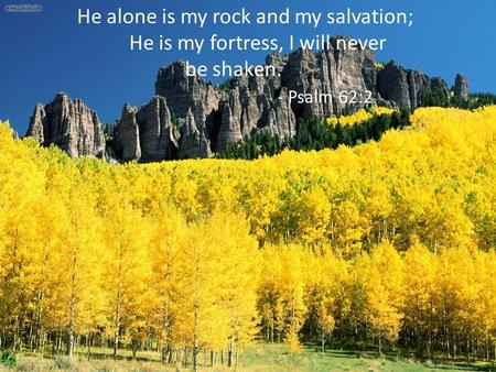 He alone is my rock and my salvation; He is my fortress, I will never be shaken. - Psalm 62:2.