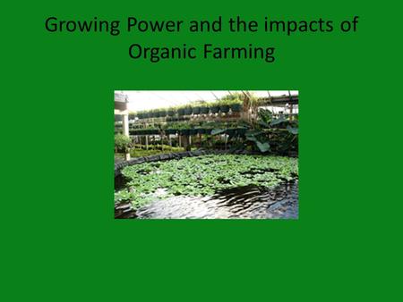 Growing Power and the impacts of Organic Farming