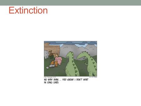 Extinction. Overview Extinctions are as important in the history of life as are the evolution of new species Explaining extinctions is just as challenging.