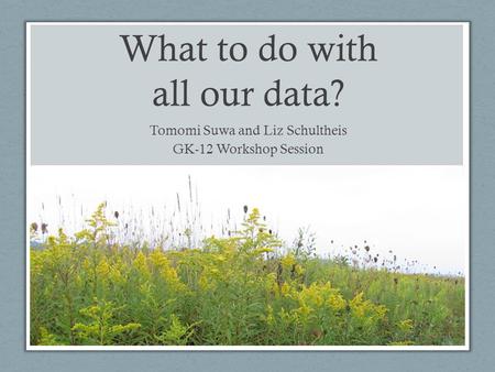 What to do with all our data? Tomomi Suwa and Liz Schultheis GK-12 Workshop Session.