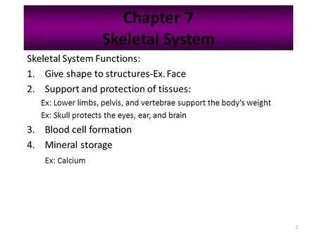 Chapter 7 Skeletal System