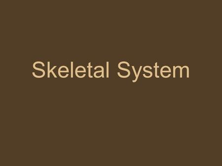 Skeletal System.