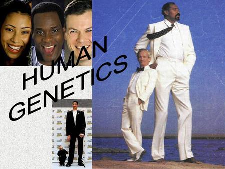 I. Introduction A. 46 chromosomes in each cell (23 pairs) B. Autosomes: all chromosomes except sex chromosomes (22 pairs) C. Sex chromosomes: determine.