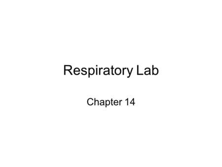 Respiratory Lab Chapter 14. Ventral View of Respiratory System in situ Label: Larynx, Trachea, Right and Left Primary Bronchi, Rt. And Lf. Cardiac Lobe,