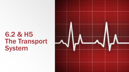 6.2 & H5 The Transport System. 6.2.1 Draw and label a diagram of the heart showing the four chambers, associated blood vessels, valves and the route of.