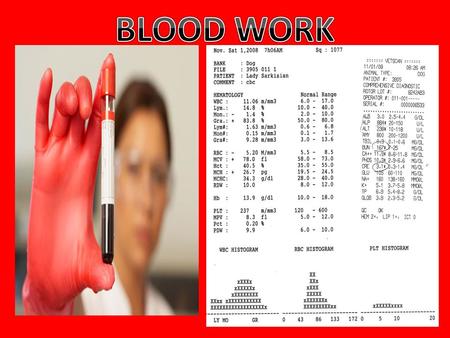 A nitrogen containing compound found in the blood and bodily fluids as a result of Protein Metabolism HIGH B.U.N. = Kidney Failure LOW B.U.N. = Liver.