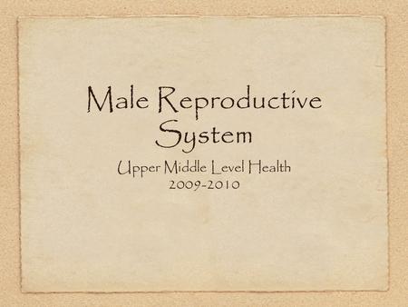 Male Reproductive System