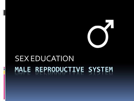 Male Reproductive System