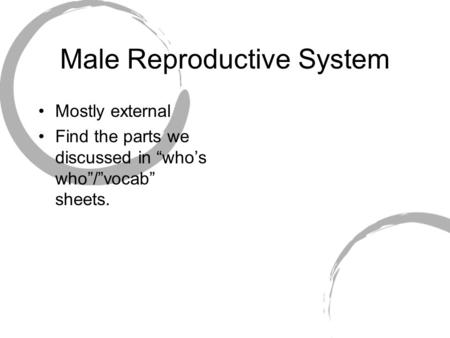 Male Reproductive System