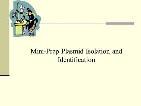 Mini-Prep Plasmid Isolation and Identification. Page 3-53 in lab manual & handout.