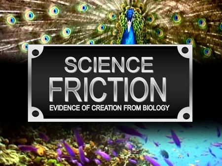 BIG BANG 20 BILLION YEARS AGO EARTH FORMED 4.6 BILLION YEARS AGO LIFE APPEARS 3 BILLION YEARS AGO MAN EVOLVED 3 MILLION YEARS AGO TODAY.