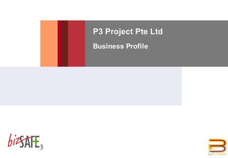 P3 Project Pte Ltd Business Profile. 8/18/2015 DUPONT CONFIDENTIAL 2 Introduction  P3 Project is a construction and engineering company which is involved.