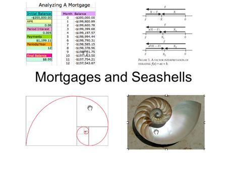 Mortgages and Seashells. 1. Iterating Linear Functions.