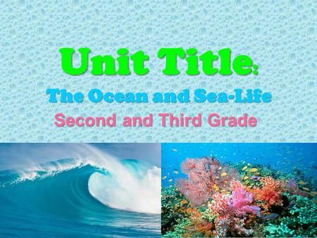 Unit Title : The Ocean and Sea-Life Second and Third Grade Second and Third Grade.