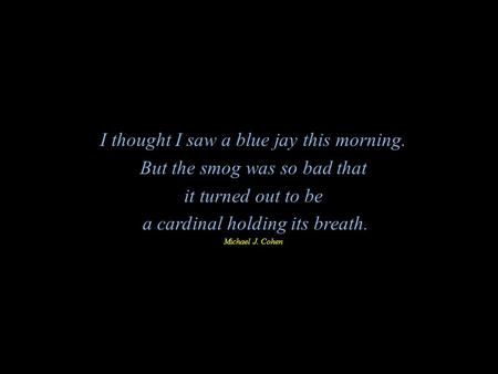 I thought I saw a blue jay this morning. But the smog was so bad that it turned out to be a cardinal holding its breath. Michael J. Cohen.