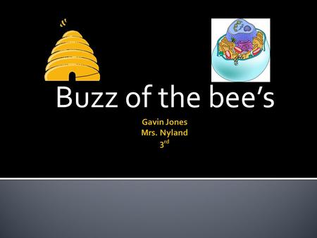 Buzz of the bee’s.  The outer shell of a beehive that can only be entered by the bee’s.  Both protect the inters of their structures to protect all.