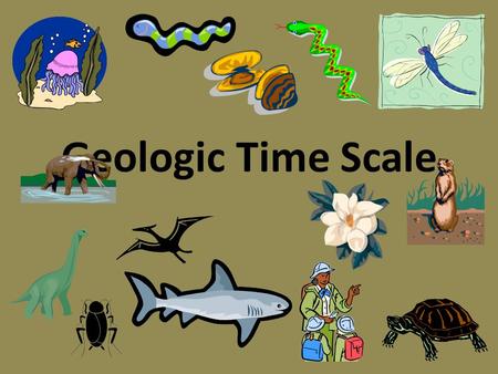 Geologic Time Scale.