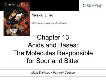 Acids Sourness in foods is caused by acids, molecules that release protons. The protons or hydrogen ions react with proteins on the tongue. Acids and their.