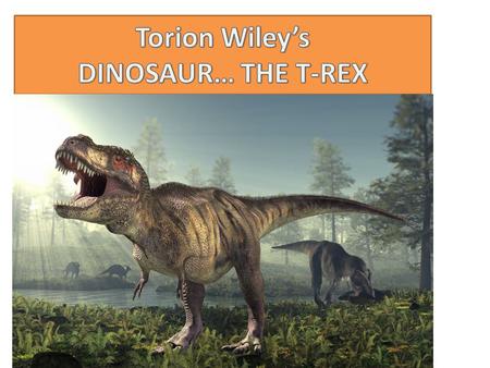 T –REX A T-REX IS A MEAT EATING DINOSAUR A.K.A CARNIVORE. DID YOU KNOW THAT? As you can see, this dinosaur has sharp teeth for eating meat.