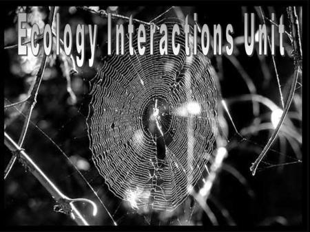 Ecology Interactions Unit