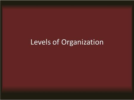 Levels of Organization