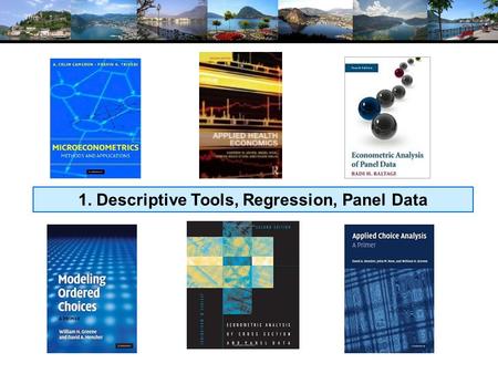 1. Descriptive Tools, Regression, Panel Data. Model Building in Econometrics Parameterizing the model Nonparametric analysis Semiparametric analysis Parametric.