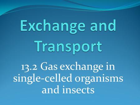 Exchange and Transport