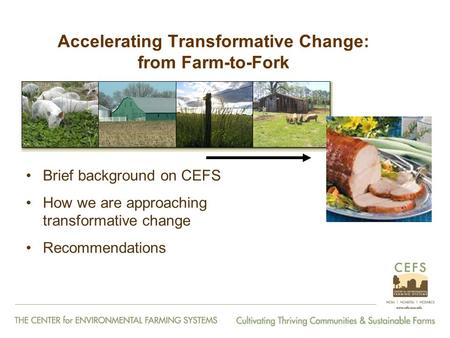 Accelerating Transformative Change: from Farm-to-Fork Brief background on CEFS How we are approaching transformative change Recommendations.