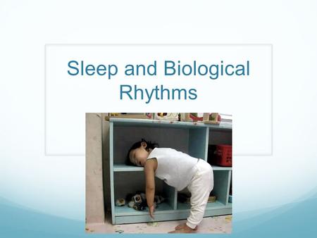 Sleep and Biological Rhythms. Consciousness Consciousness refers to an organism’s awareness of itself and its surroundings. Levels of awareness: TOP: