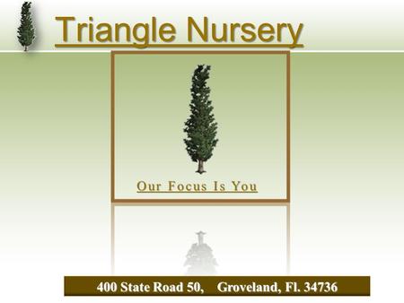 Triangle Nursery 400 State Road 50, Groveland, Fl. 34736 Our Focus Is You.