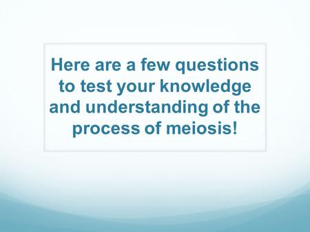 In what phase does crossing over occur?