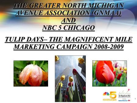 1 THE GREATER NORTH MICHIGAN AVENUE ASSOCIATION (GNMAA) AND NBC 5 CHICAGO TULIP DAYS– THE MAGNIFICENT MILE MARKETING CAMPAIGN 2008-2009 THE GREATER NORTH.