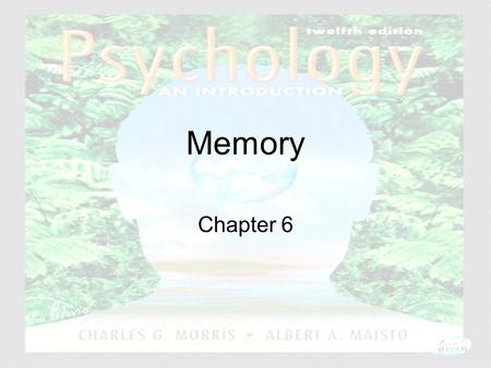 Memory Chapter 6.