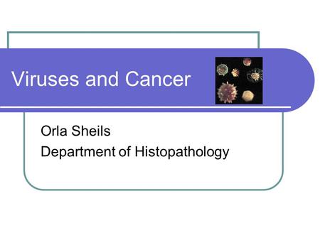 Viruses and Cancer Orla Sheils Department of Histopathology.