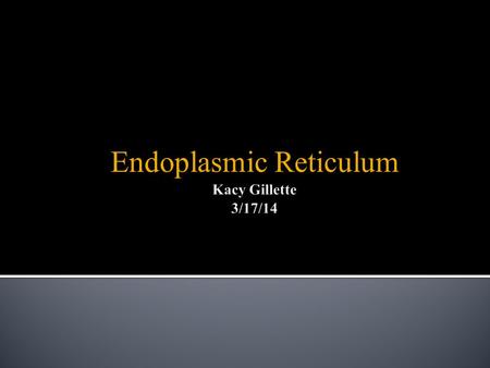 Endoplasmic Reticulum