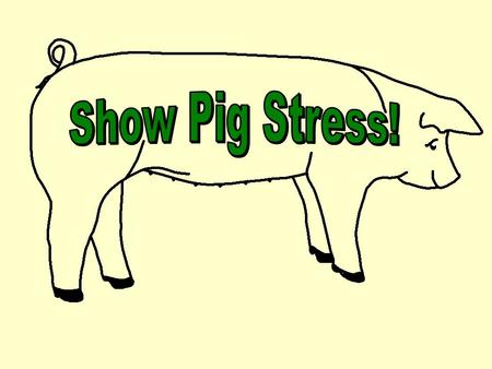 Summary of Held in Stillwater, OK December 2002 What are some problems that show managers face? PQA Feel the need to teach exhibitors and advisors Shows.