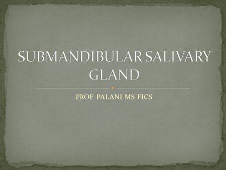 PROF PALANI MS FICS. Paired salivary glands that lie below the mandible on either side. larger superficial and a smaller deep lobe. Drained by a single.