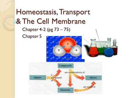 Homeostasis, Transport & The Cell Membrane Chapter 4-2 (pg 73 – 75) Chapter 5.