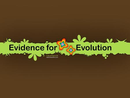 Evidence for Evolution. Comparative Studies in Biochemistry DNA All living organisms possess the same four nitrogen base pairs (A, T, C, G)  implies.